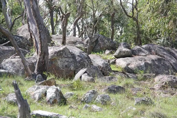 Sixth view of Homely rural property listing, 888 Bruxner Highway, Tenterfield NSW 2372