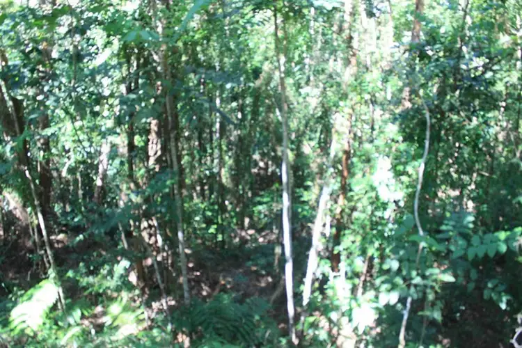 Third view of Homely land listing, Lot 37 Ronald Road, Forest Creek, Daintree QLD 4873