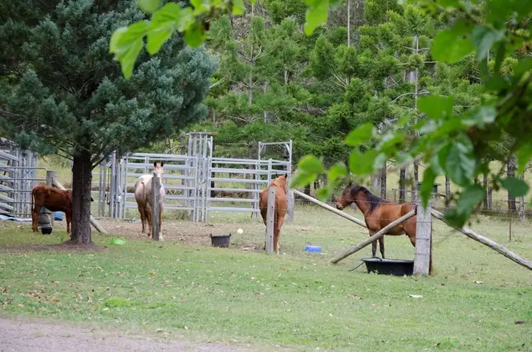 Sixth view of Homely rural property listing, 12 King Creek Road, Eerwah Vale QLD 4562