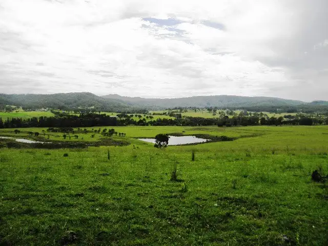 1384 Wollombi Road, Millfield NSW 2325