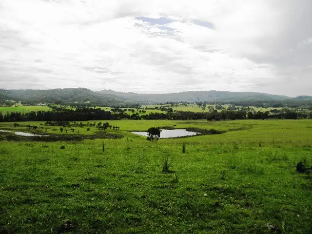 Main view of Homely rural property listing, 1384 Wollombi Road, Millfield NSW 2325