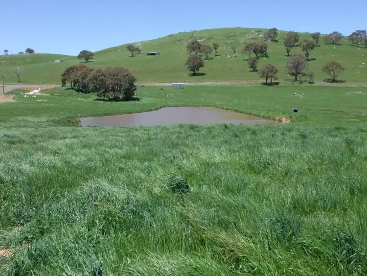 Second view of Homely rural property listing, Address available on request