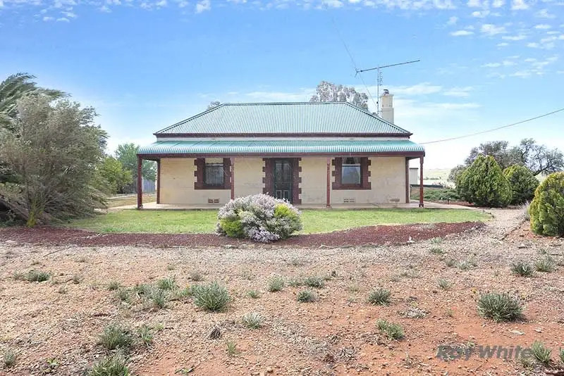 Main view of Homely rural property listing, 2483 Black Springs Road, Robertstown SA 5381