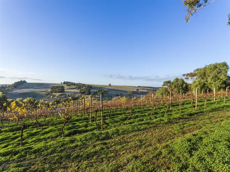 Seventh view of Homely house listing, 145 Lemins Road, Waurn Ponds VIC 3216