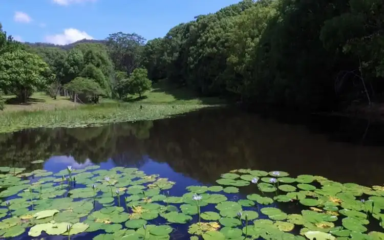 Sixth view of Homely house listing, 276 NOLANS Road, Stokers Siding NSW 2484