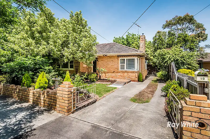 Main view of Homely house listing, 19 Katoomba Street, Hampton East VIC 3188