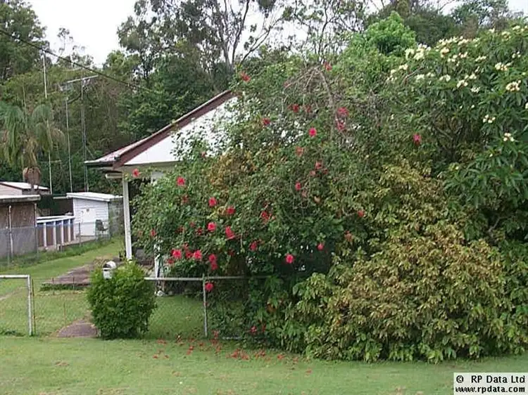 Fifth view of Homely house listing, 51 Gannon Avenue, Manly QLD 4179