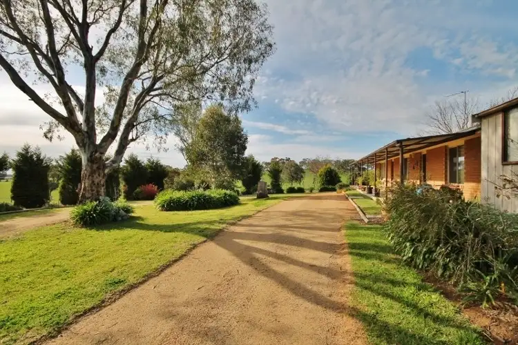 Seventh view of Homely house listing, 111 Ricketts Road, Young NSW 2594