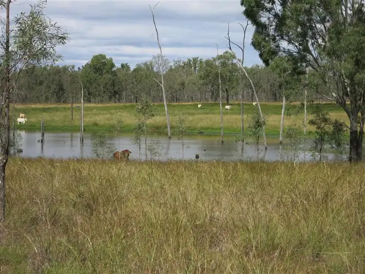 Third view of Homely rural property listing, "BOYCES" Glendarra Road, Dingo QLD 4702