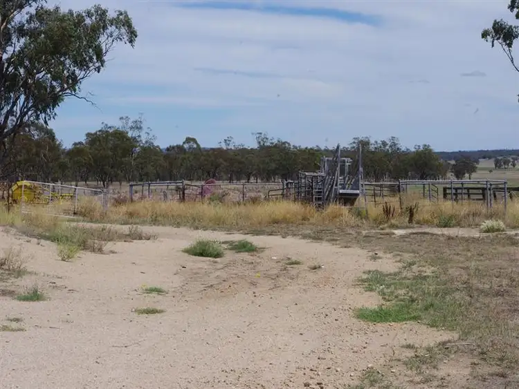 Fifth view of Homely rural property listing, LOT 121 Abbotts Lane, Inverell NSW 2360