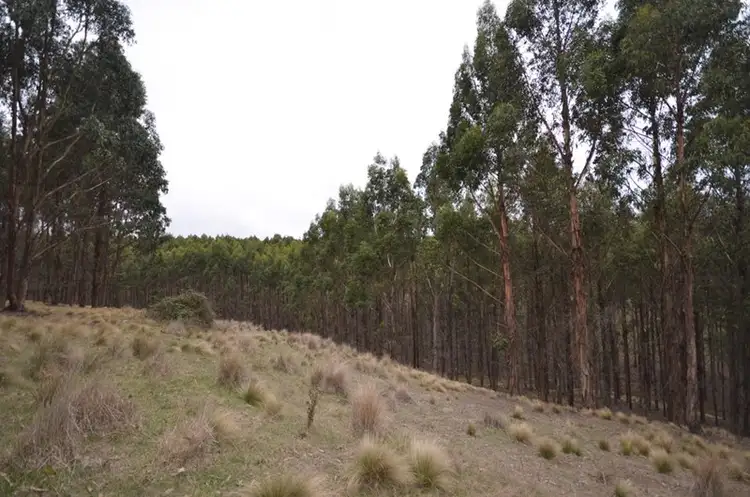 Seventh view of Homely land listing, CA 86B Corries Lane, Bungal VIC 3334