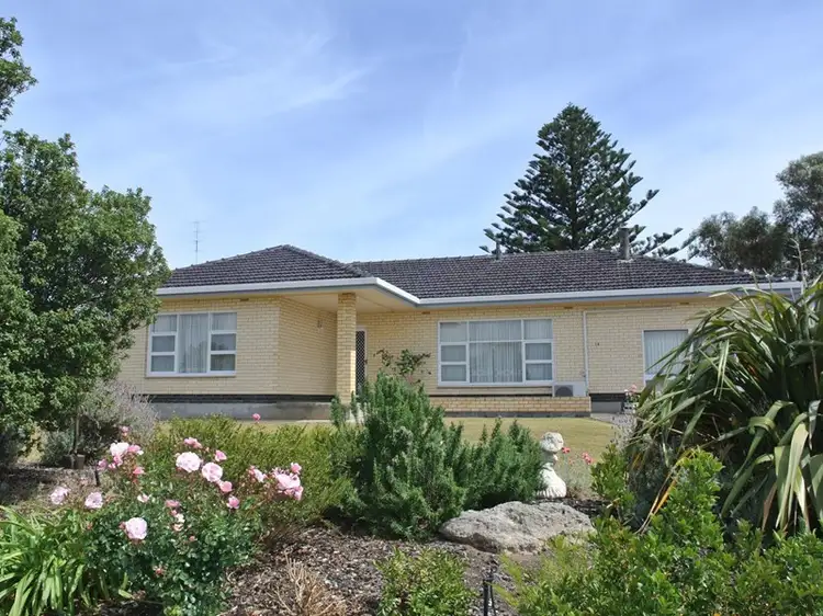 Main view of Homely house listing, 14 McFarlane Street, Kingston Se SA 5275