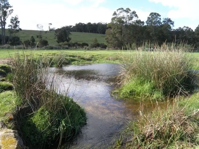 Seventh view of Homely rural property listing, Lot 800 Graphite Road, Nannup WA 6275