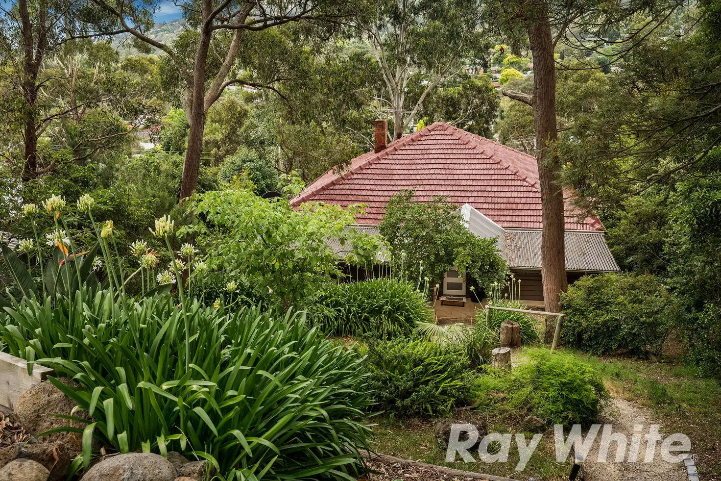 Main view of Homely house listing, 50 Bruce Crescent, Ferntree Gully VIC 3156