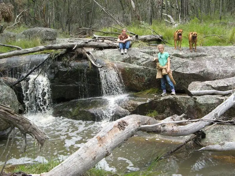 Main view of Homely rural property listing, "Thunderbolt Springs" Coonoor Road, Barraba NSW 2347