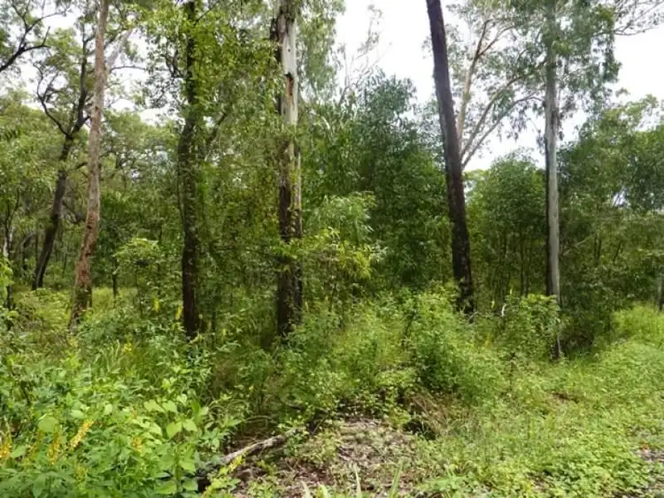 Fourth view of Homely land listing, 75 Pine Creek Road, East Trinity QLD 4871