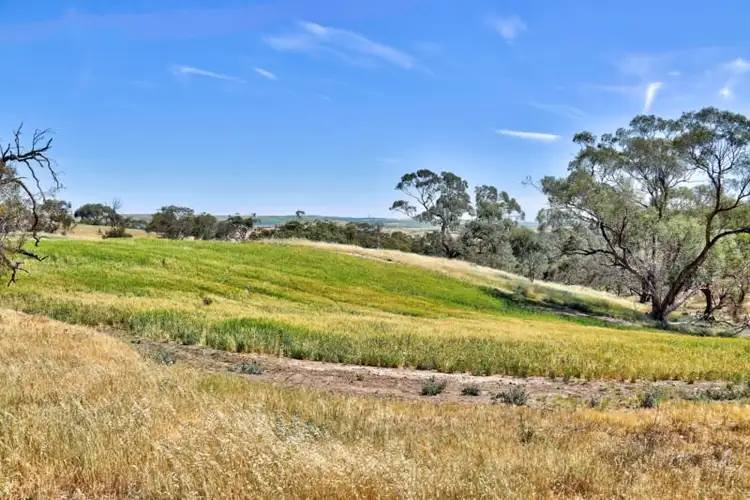 Third view of Homely rural property listing, "Twin Valleys" Yacka - Andrews Road, Yacka SA 5470