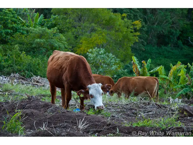 Sixth view of Homely land listing, Address available on request