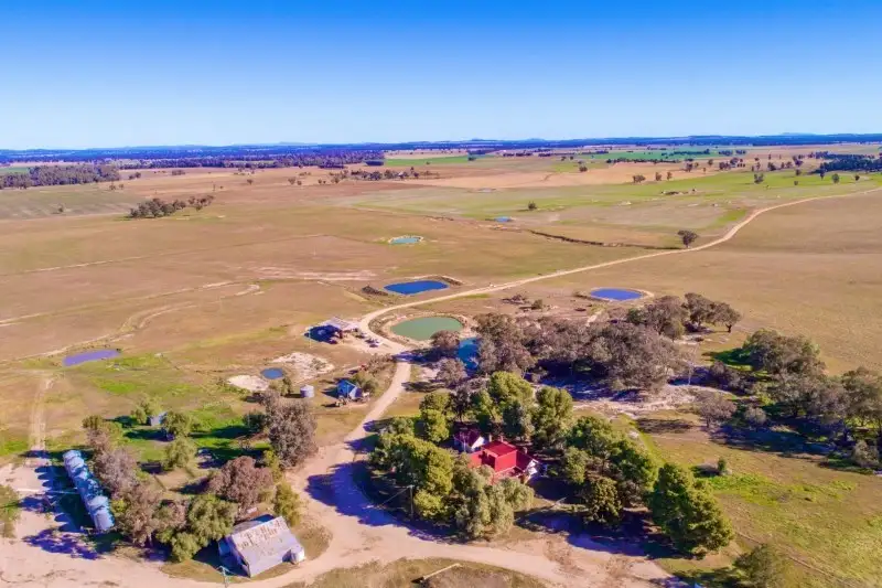Main view of Homely rural property listing, 7853 The Escort Way, Eugowra NSW 2806