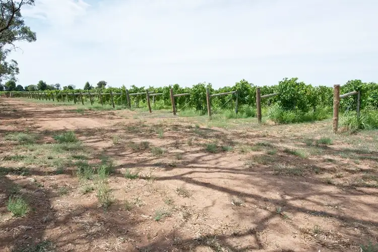 Sixth view of Homely rural property listing, 19 McLean Lane, Vinifera VIC 3591