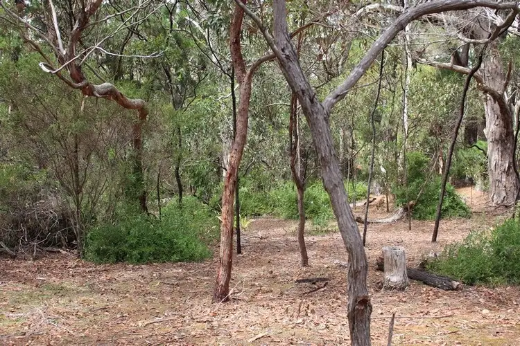 Third view of Homely land listing, Lot 4 and 5 Rarkang Road, Silverton SA 5204