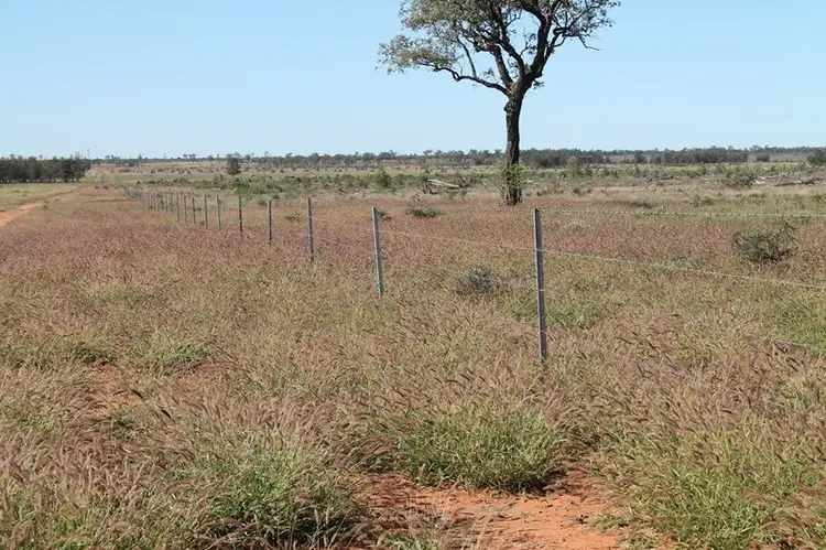 Fifth view of Homely rural property listing, 24265 Moonie Highway, St George QLD 4487