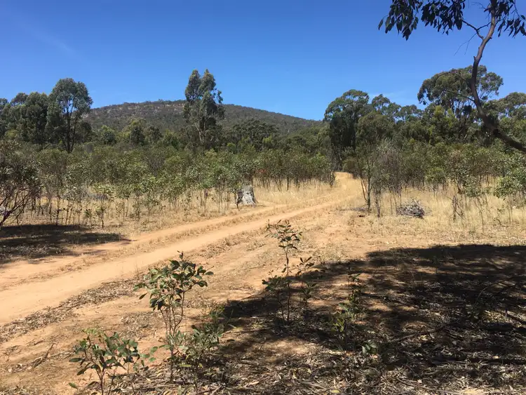 Second view of Homely rural property listing, 28 Forster Lane, Landsborough VIC 3384