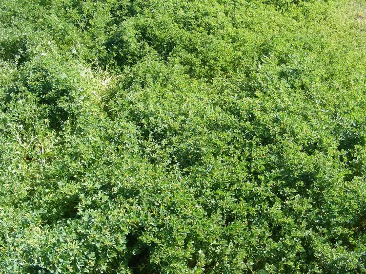 Sixth view of Homely rural property listing, Address available on request