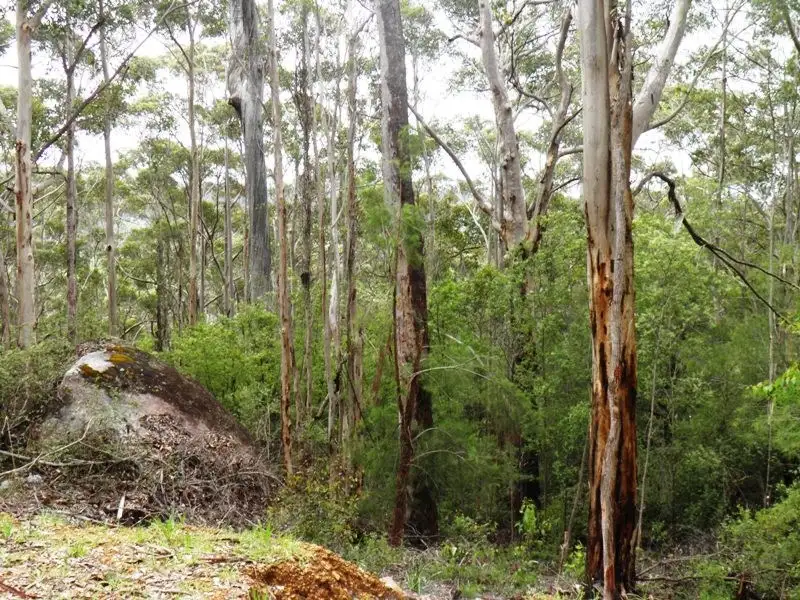 Main view of Homely land listing, 7 Mowday Road, Denmark WA 6333