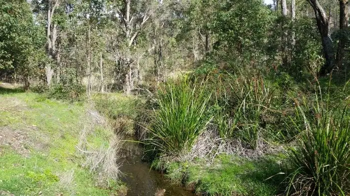Third view of Homely rural property listing, Lot 701 Gold Gully Road, Nannup WA 6275