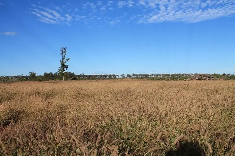 Main view of Homely rural property listing, 24265 Moonie Highway, St George QLD 4487