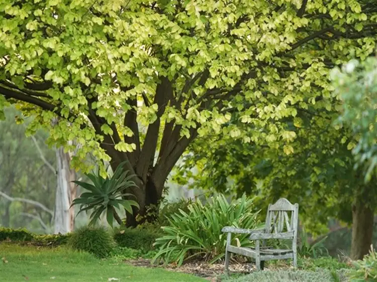 Second view of Homely house listing, 40 Kemp Road, Berri SA 5343