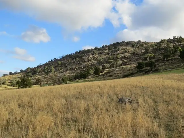 Fourth view of Homely rural property listing, Lot 141 Tarrants Gap Road, Wyangala NSW 2808