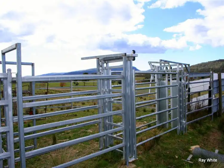 Seventh view of Homely rural property listing, 3940 Cooma Road, Braidwood NSW 2622