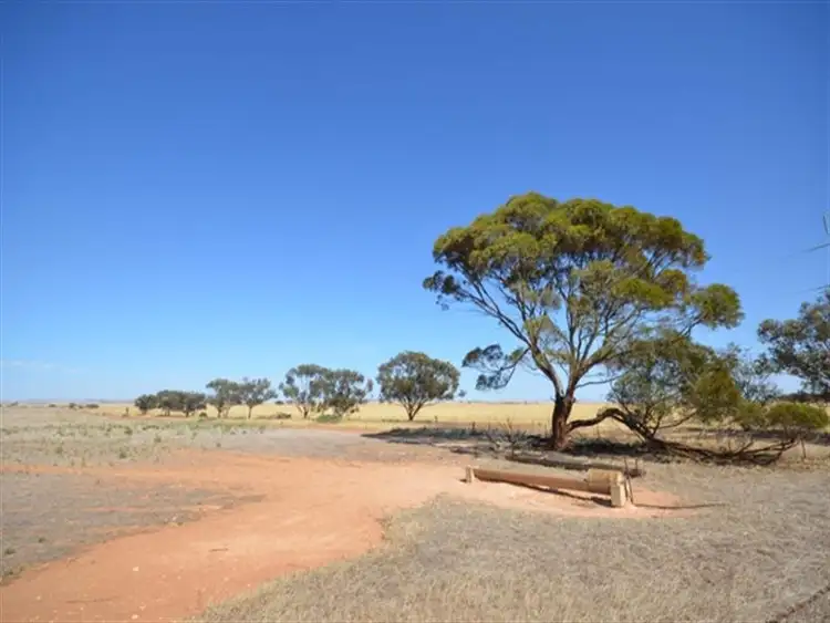 Fifth view of Homely rural property listing, "Andriskes" Everard via, Blyth SA 5462