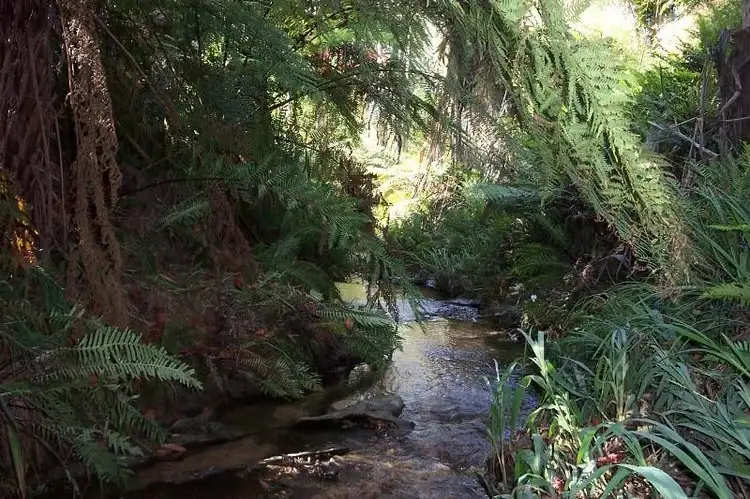 Sixth view of Homely house listing, 66 Mount Street, Leura NSW 2780