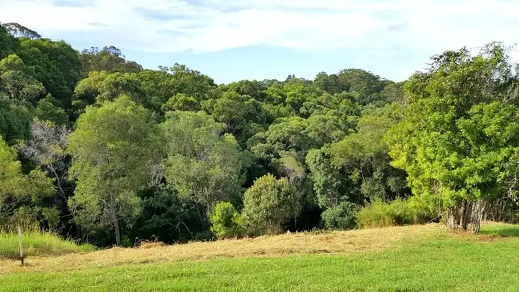 Second view of Homely land listing, 4 Tallowood Terrace, Currumbin Valley QLD 4223