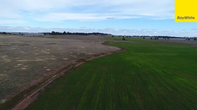 Lot 2 Allens Road, Forbes NSW 2871