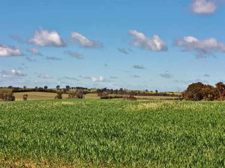 Second view of Homely land listing, Lot 94 Boundary Road, Young NSW 2594