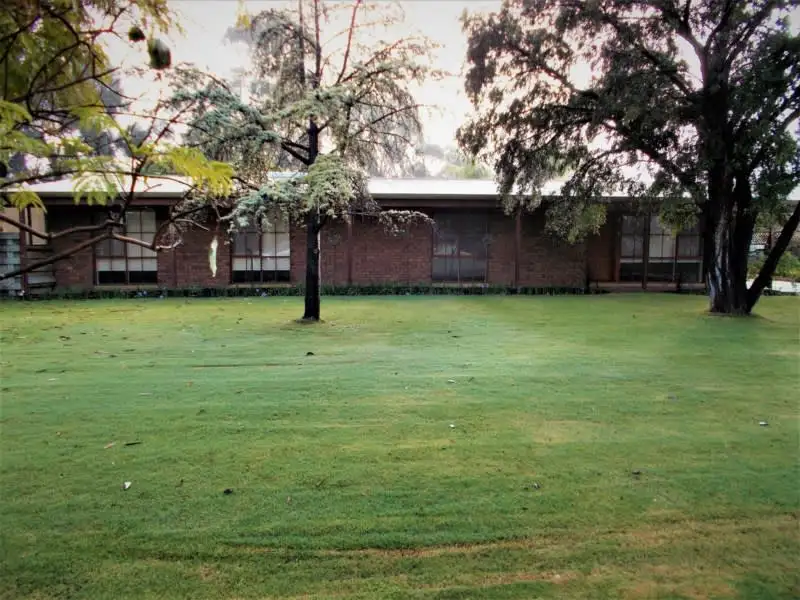 Main view of Homely house listing, 17 Buik Street, Bordertown SA 5268