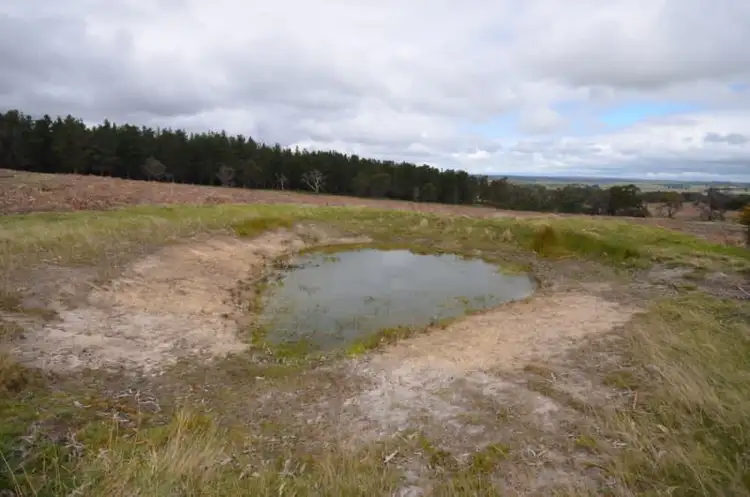 Sixth view of Homely rural property listing, 'Tiley' Tip Road, Raglan VIC 3373