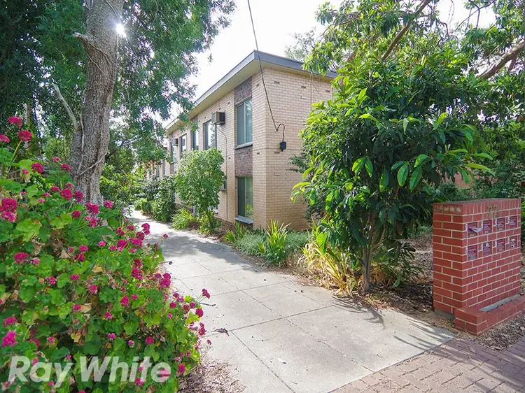 3/77A Lockwood Road, Burnside SA 5066