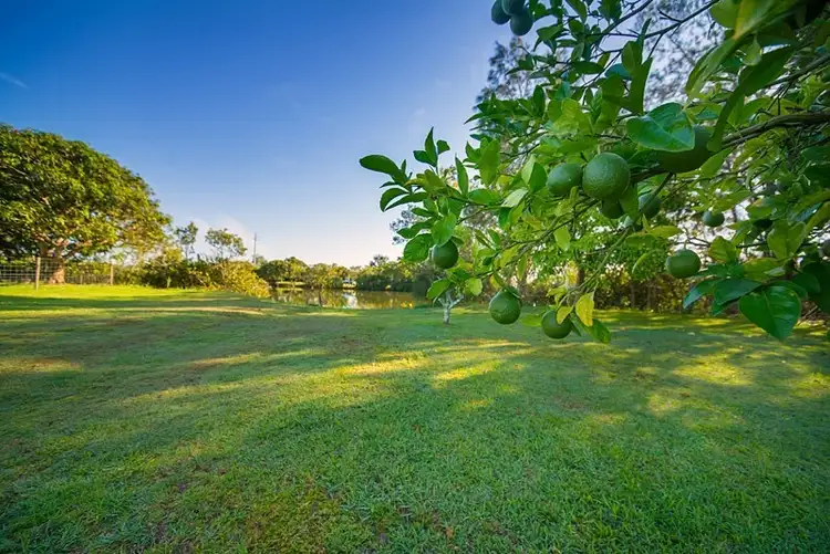 Third view of Homely rural property listing, 147 Old Bridge Road, Coopernook NSW 2426