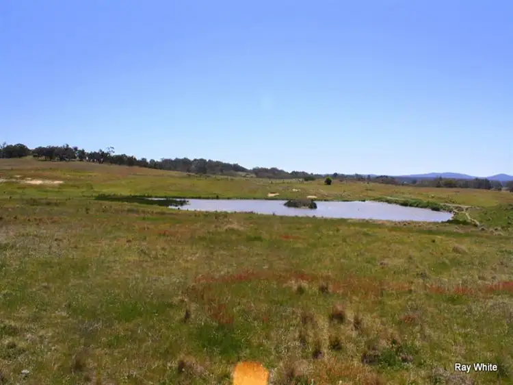 318 Larbert Road, Braidwood NSW 2622