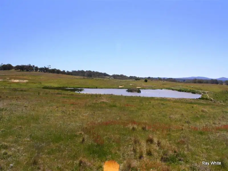 Main view of Homely rural property listing, 318 Larbert Road, Braidwood NSW 2622