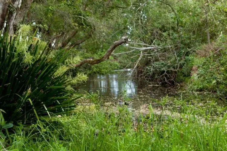 Third view of Homely rural property listing, 618 Half Chain Road, Koorainghat NSW 2430