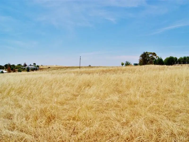 Main view of Homely land listing, 30 Jasprizza Lane, Young NSW 2594