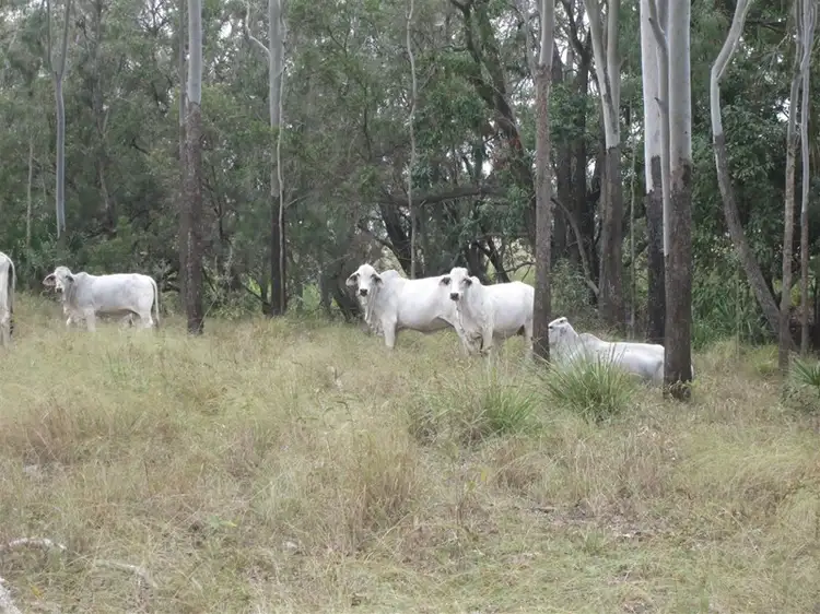 Lot 14 Atkinson Road, Kunwarara QLD 4702