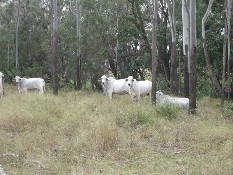Main view of Homely rural property listing, Lot 14 Atkinson Road, Kunwarara QLD 4702