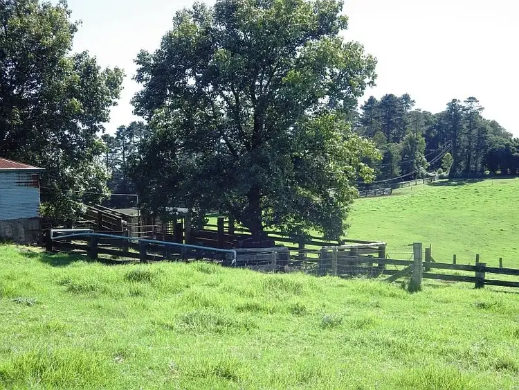 Third view of Homely rural property listing, 5287 Waterfall Way, Dorrigo NSW 2453